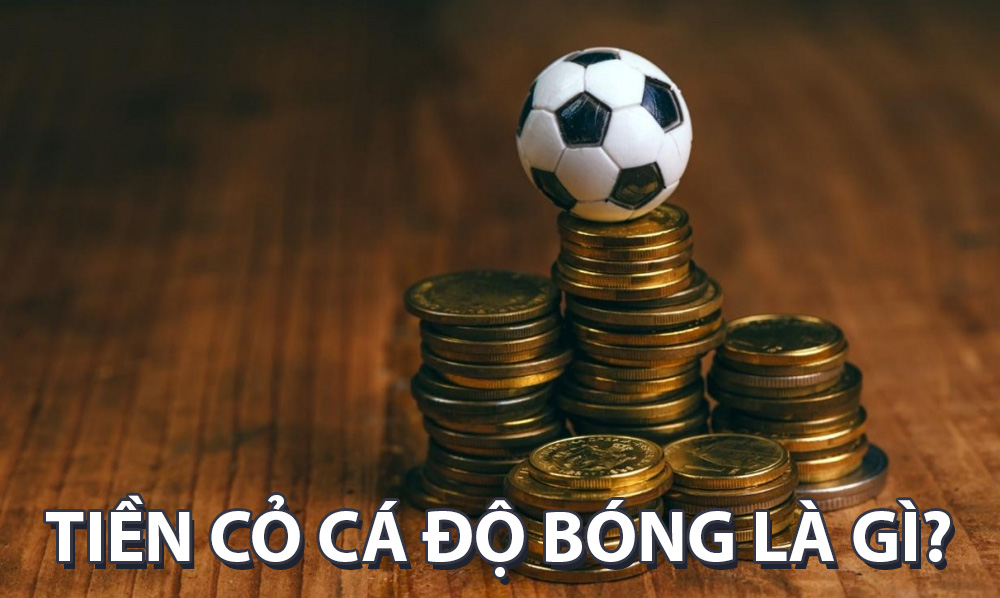 Tiền cỏ cá độ bóng đá là gì?